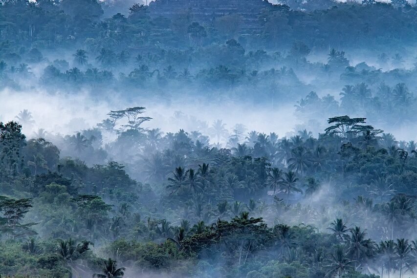 landscape, view, morning mist-5400711.jpg